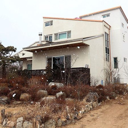 Guesthouse Gilson Σόκο Εξωτερικό φωτογραφία